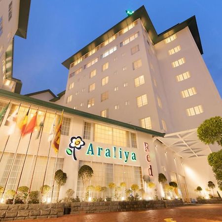 Araliya Red - Budget Friendly Hotel- Where You Find Stunning 360 Panoramic View Of Nuwara Eliya Extérieur photo